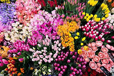 《燕云十六声》外媒采访 当前开发团队不到百人