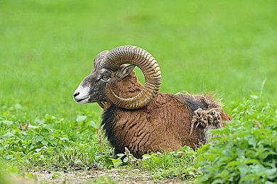 《阿凡达：潘多拉边境》封测预览或与在下周开始